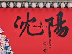 -中街·盛京龙城