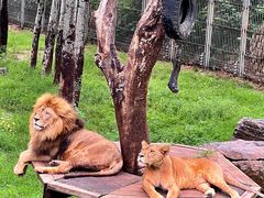 -济南野生动物世界