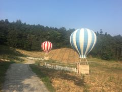-大塘金香草谷