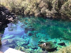 -叠溪松坪沟景区