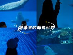 -泉城欧乐堡海洋极地世界