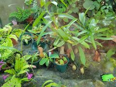 -国家植物园南园