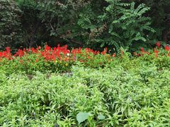 景点-沈阳中山公园