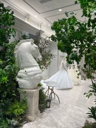 -MuseMarry婚纱(前海嘉里中心店)