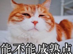 -阊门姚记豆浆(旧学前直营店)