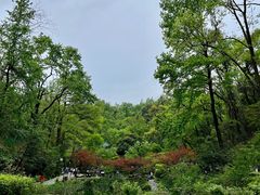 -岳麓山风景名胜区