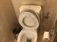 -上海浦东康桥绿地假日酒店