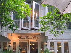 -Fern Forest Cafe