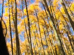 -硗碛藏寨·神木垒景区