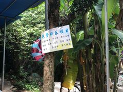 -小蜜蜂团建自助烧烤场(小洲村店)