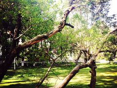 邛海宾馆-西昌邛海宾馆