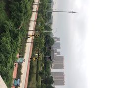 -大亚湾红树林城市湿地公园