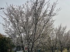 -嘉北郊野公园
