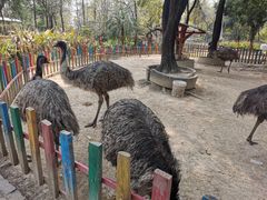 -广东花都香草世界旅游度假区