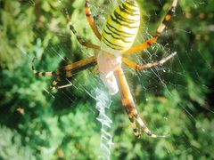 -鹫峰国家森林公园