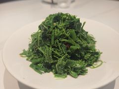 山胡椒油丝瓜尖-匠熙小馆(崇文门店)