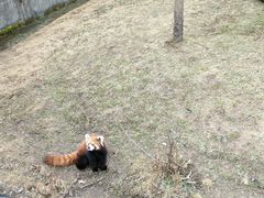 -沈阳森林动物园