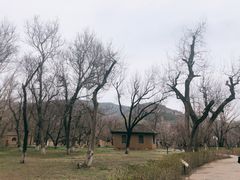 -枣园革命旧址