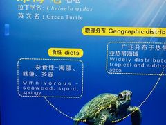 -南昌融创海世界