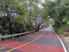 -南山植物园