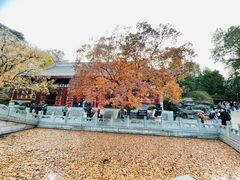 -香山公园