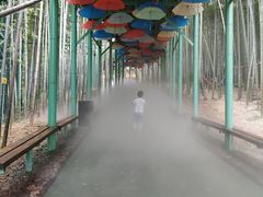 -陶祖圣境风景区