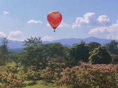 -中国科学院西双版纳热带植物园