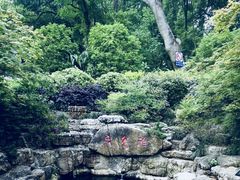 -杭州花家山庄