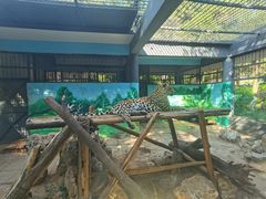 -昆明动物园