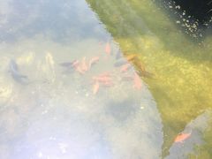 -济公故居