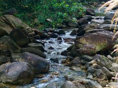 -广州白江湖森林公园