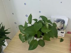 -自然之声助听器·呼吸机(康桥旗舰店)