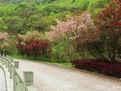 -宁波五龙潭景区