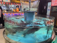 -魏铭鱼头捞饭(晋阳路店)