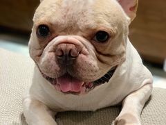 -青林湾公园-东停车场