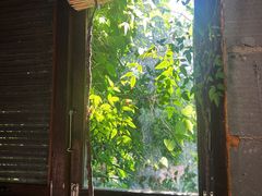 -斯多格书乡(北京大学畅春园店)