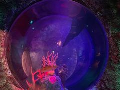 -沈阳海洋探索中心