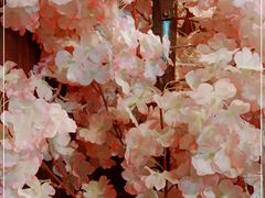 -白兔子密室(长寿路店)