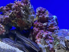 -上海海洋水族馆