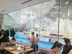 -帝企鹅自助餐厅•儿童岛•真企鹅(长隆企鹅酒店)