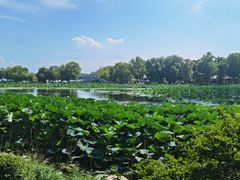 -长春市南湖公园