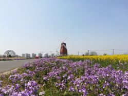 -水八仙生态园