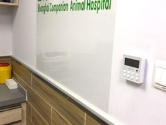 -爱侣宠医·鹦鹉专科·小型哺乳类·异宠专科(灵石路店)