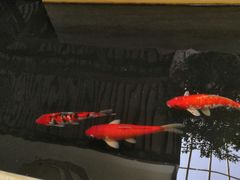-苏州环秀晓筑养生度假村