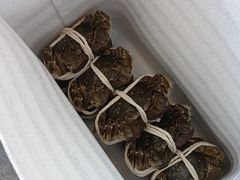 -阳澄湖大闸蟹·琼灵阁牌品牌连锁(吴中总店)