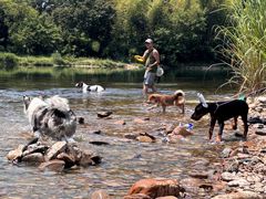 -楠溪江风景名胜区