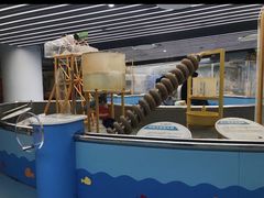 -苏州青少年科技馆