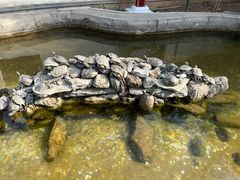 -红螺寺