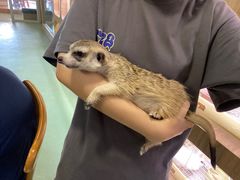 -藦茜花园宠物主题亲子互动体验馆(国顺东路店)