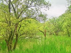 -西湖风景区-江洋畈生态公园